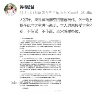 黄杨钿甜父亲违规经商办企业、违法生育二孩问题解读及解决方案